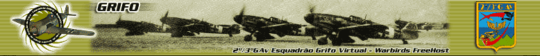 2º/3º GAv Esquadrão Grifo